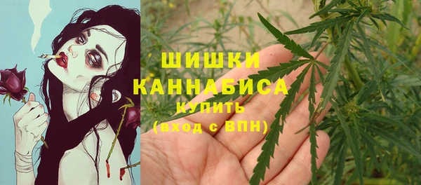 тгк Богородицк