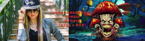 амф Богданович