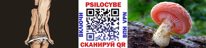 Галлюциногенные грибы Psilocybe  магазин продажи наркотиков  Жиздра 