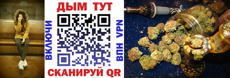 Конопля SATIVA & INDICA МЕГА онион Жиздра